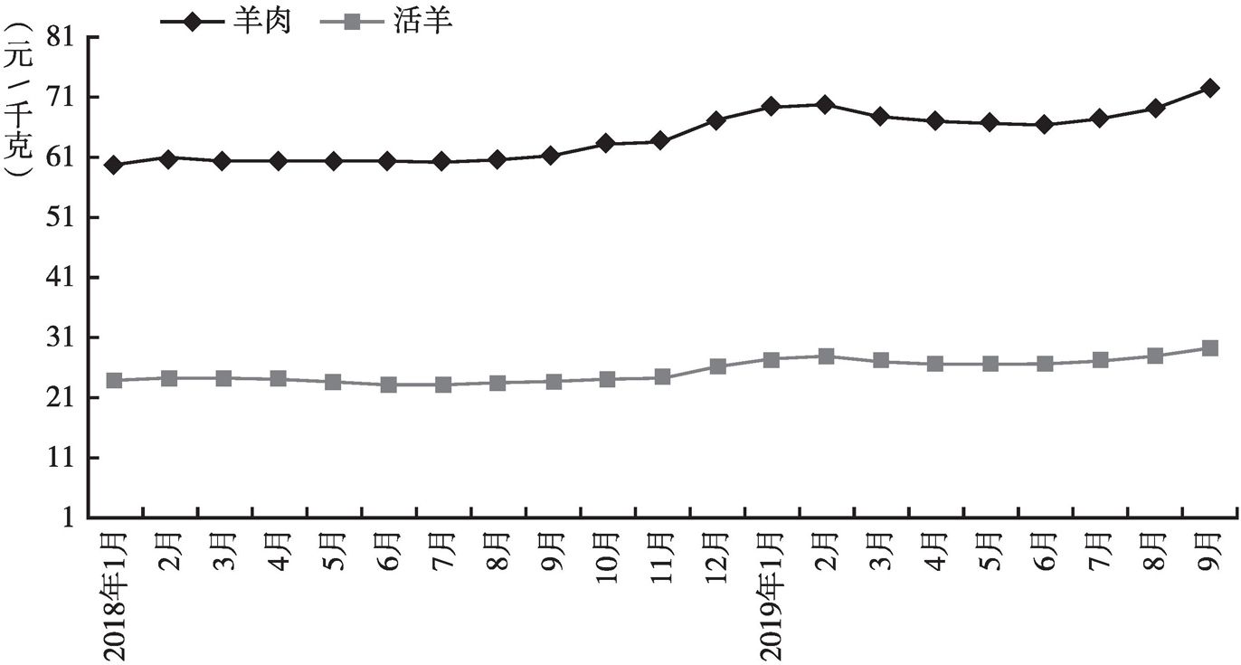 图5 2018年1月至2019年9月活羊、羊肉价格走势